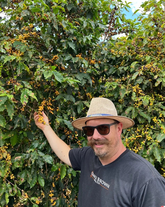 Brewing Success: A Journey into Brazilian Green Coffee