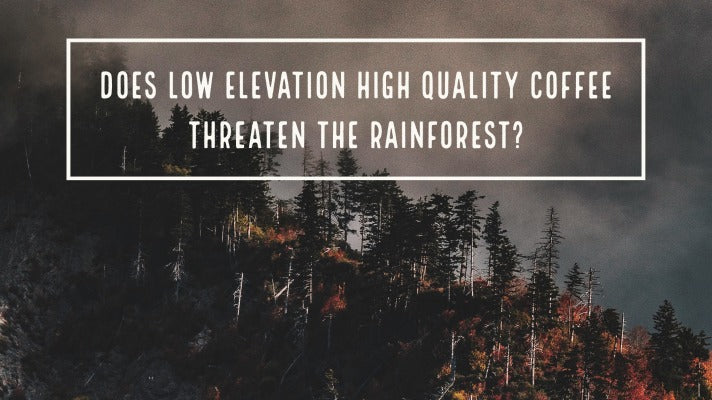 Does Low Elevation High Quality Coffee Threaten the Rainforest?