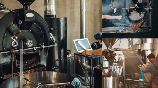 Coffee Roaster Company Setup