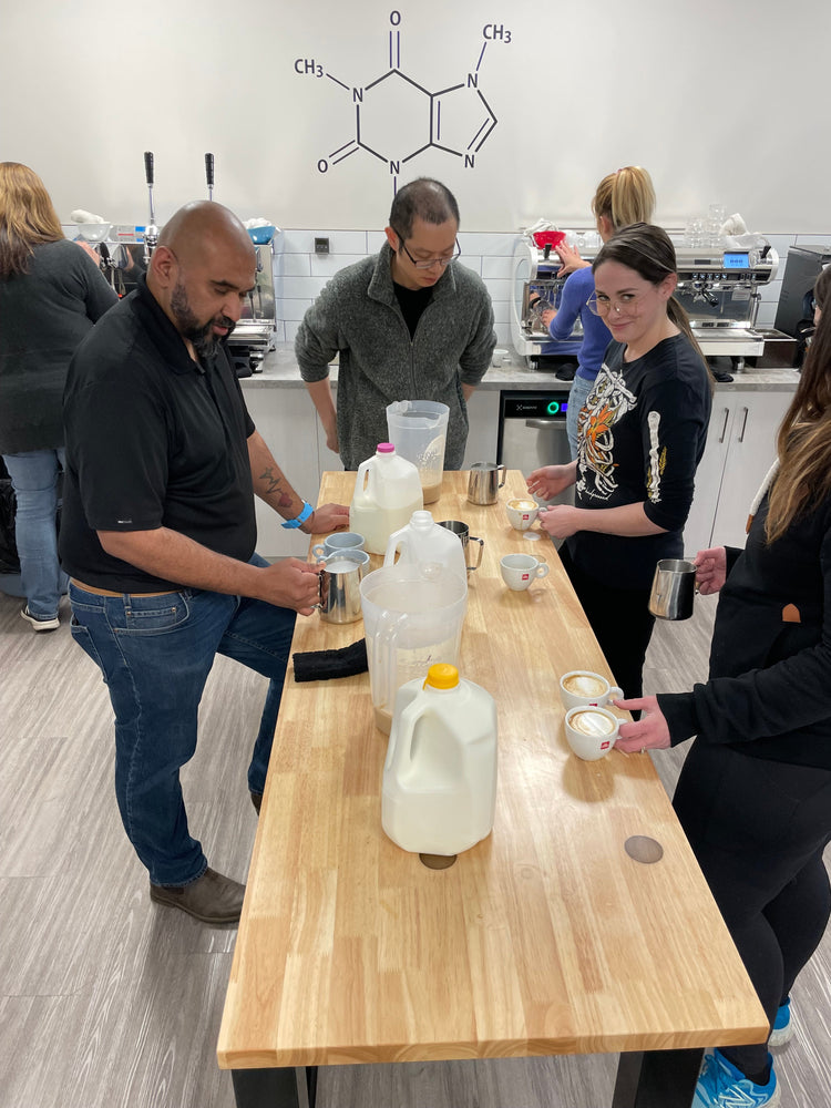 Artisan Coffee Courses