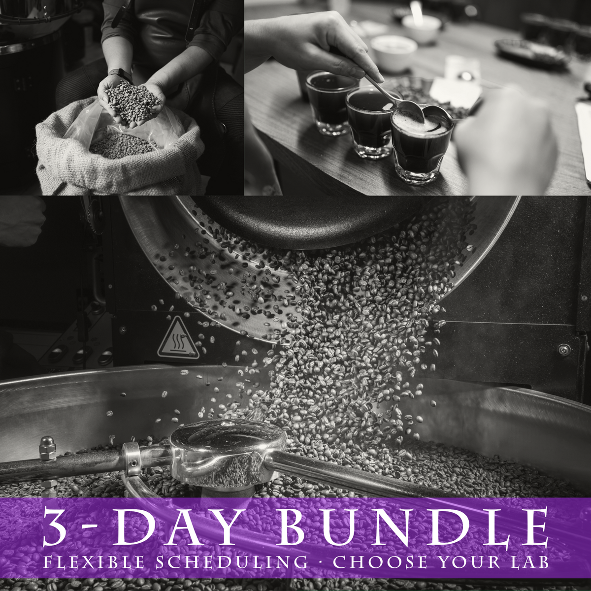 Coffee Roasting Level 1 (3 days) – Flexible Scheduling