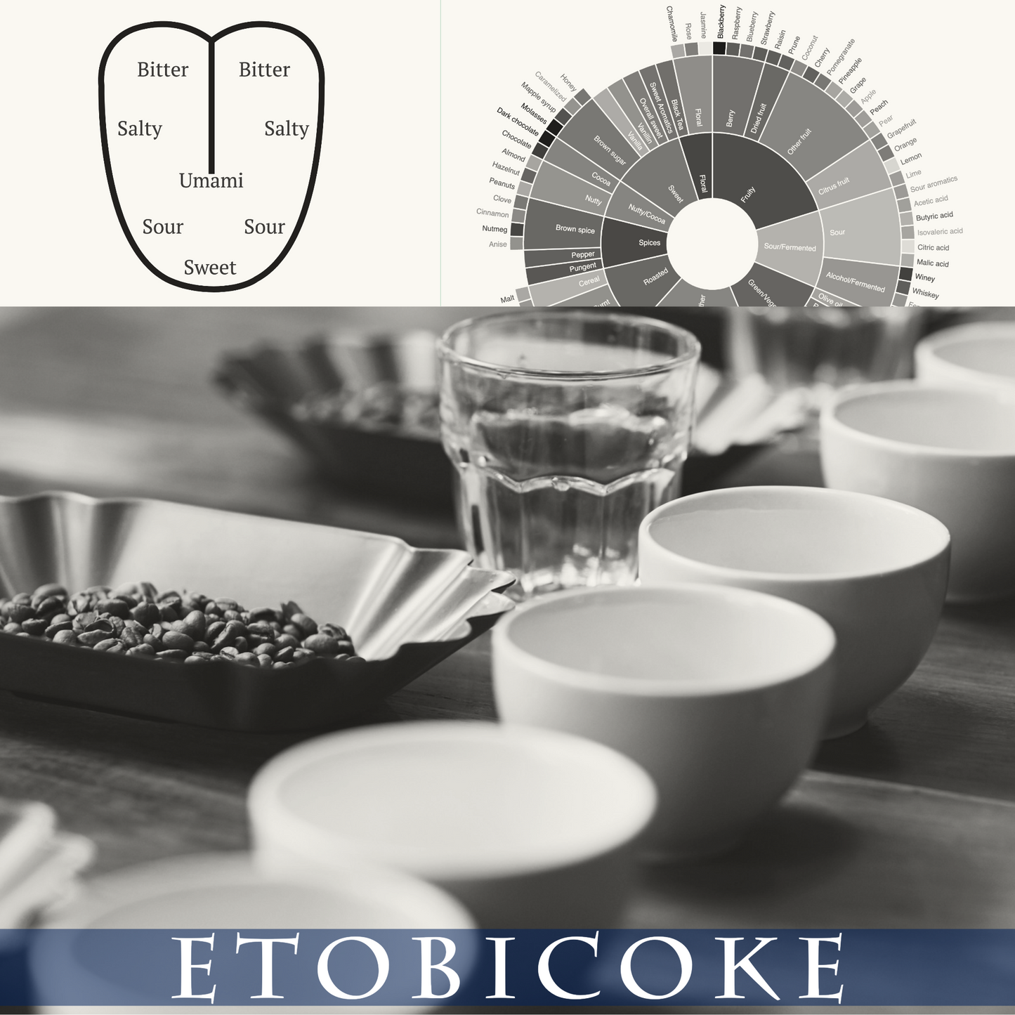 Barista Level 3 - Etobicoke