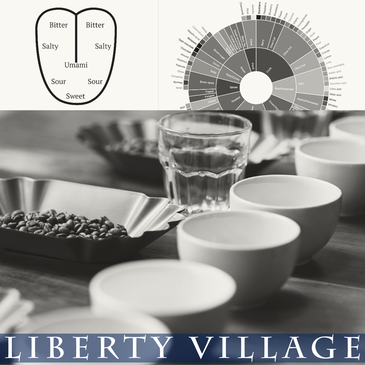 Barista Level 3 - Liberty Village