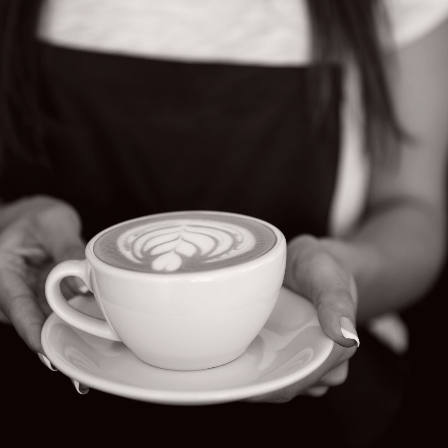 Foster Roaster & Barista Support Program for Exclusive Business Student Alumni