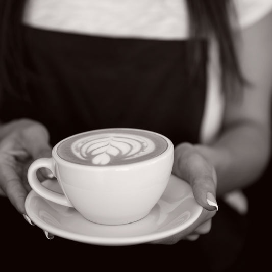 Foster Roaster & Barista Support Program for Exclusive Business Student Alumni