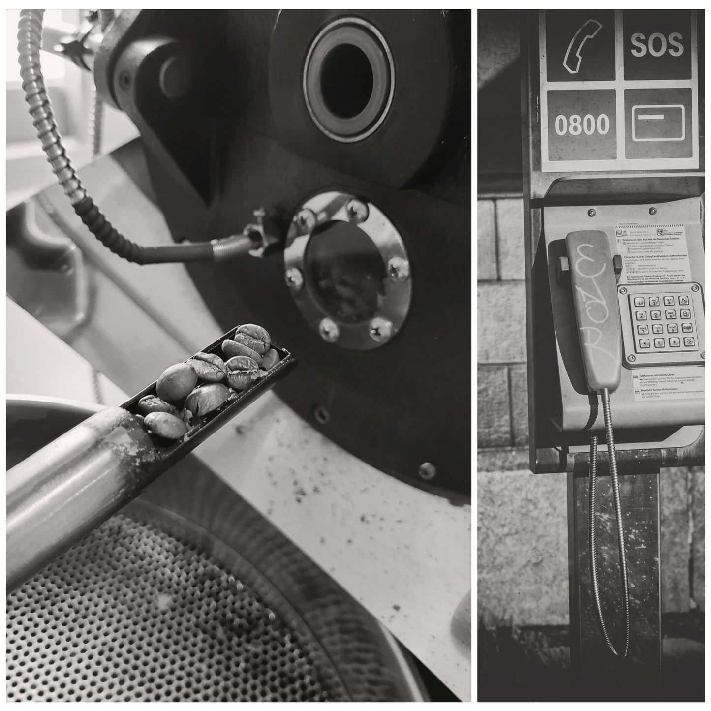Roaster Hotline - Helpline