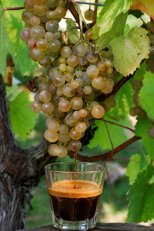 From Chardonnay to the Cortado: A History of Beverage Snobbery