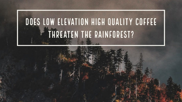 Does Low Elevation High Quality Coffee Threaten the Rainforest? 