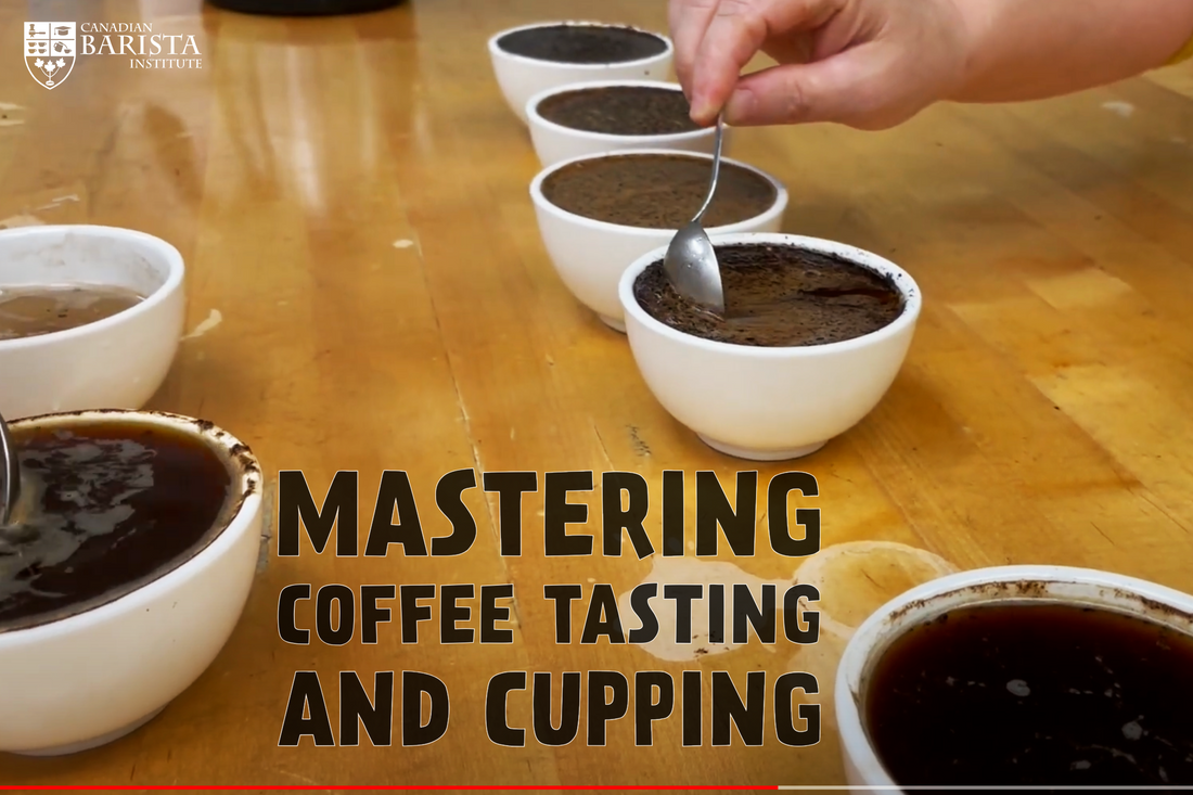 Barista Level 3: Mastering Coffee Tasting and Cupping