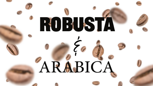 Robusta Specialty Coffee