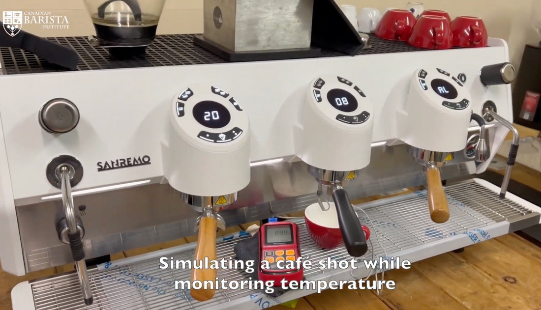 Sanremo D8 Thermal Stability Test (Scace Thermofilter)