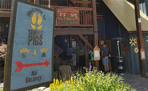 Truffle Pigs Resort Cafe Field British Columbia