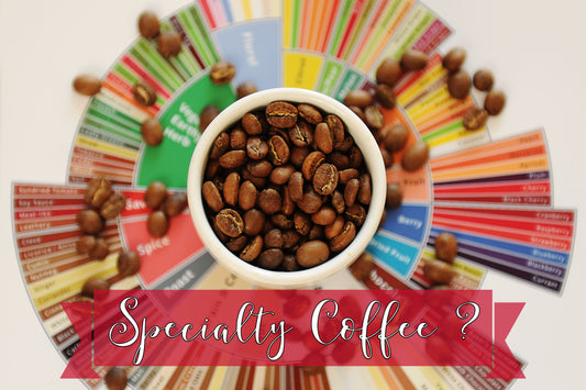 Specialty Coffee 