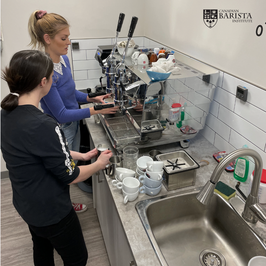 White Eagle lever espresso machine used in coffee training