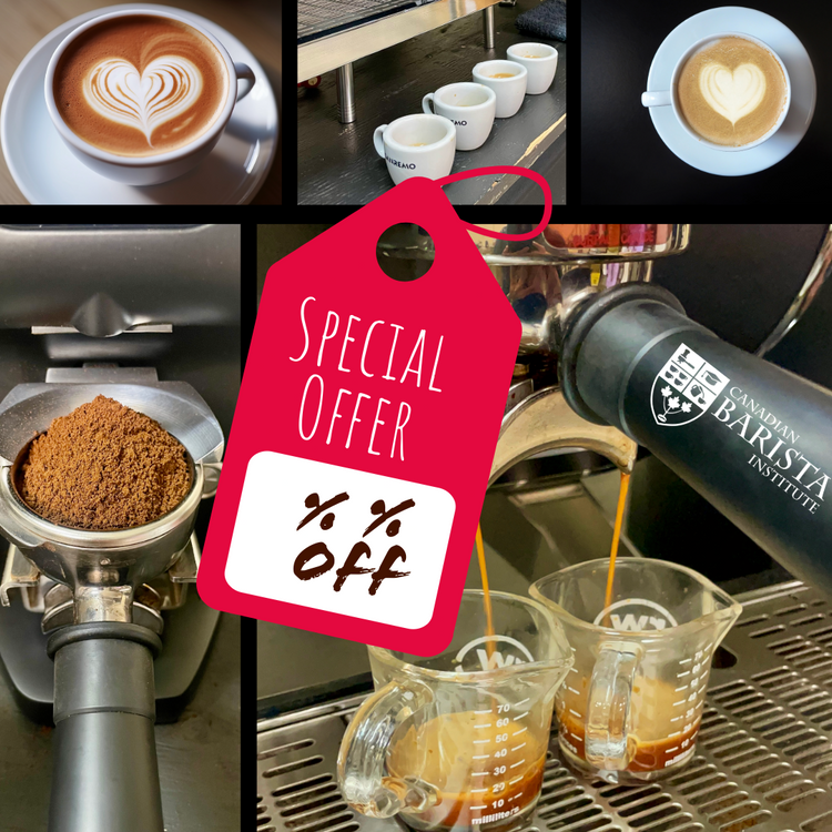 Special Offers 🎉 For a limited time only.