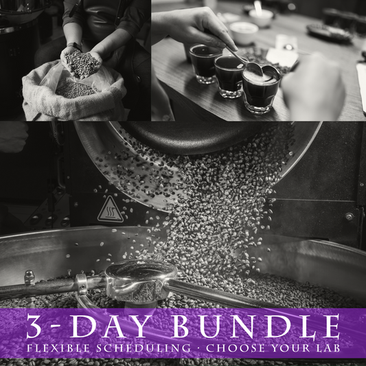 Coffee Roasting Level 1 (3 days) – Flexible Scheduling