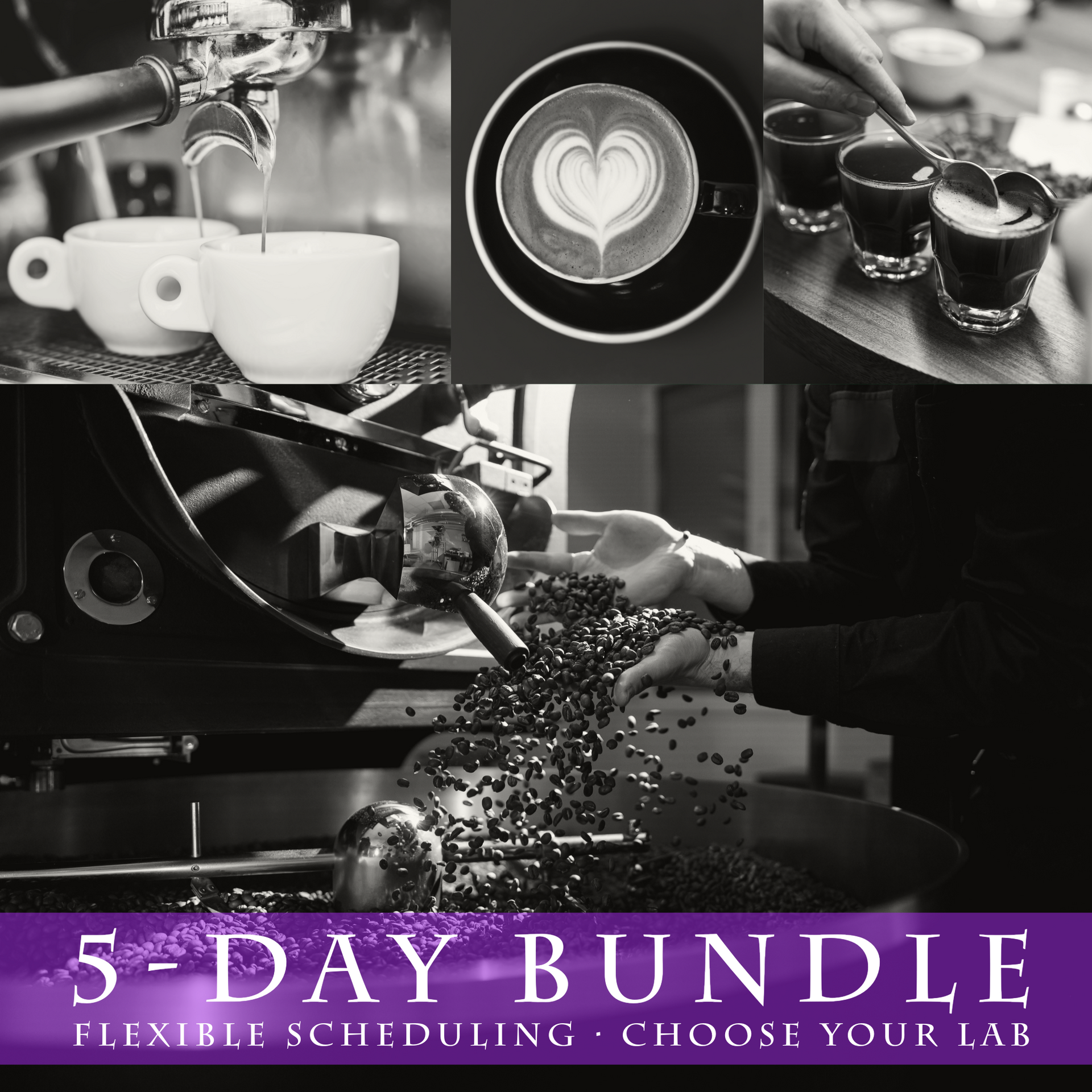 Coffee Roasting and Barista Training Bundle (5days) - Flexible