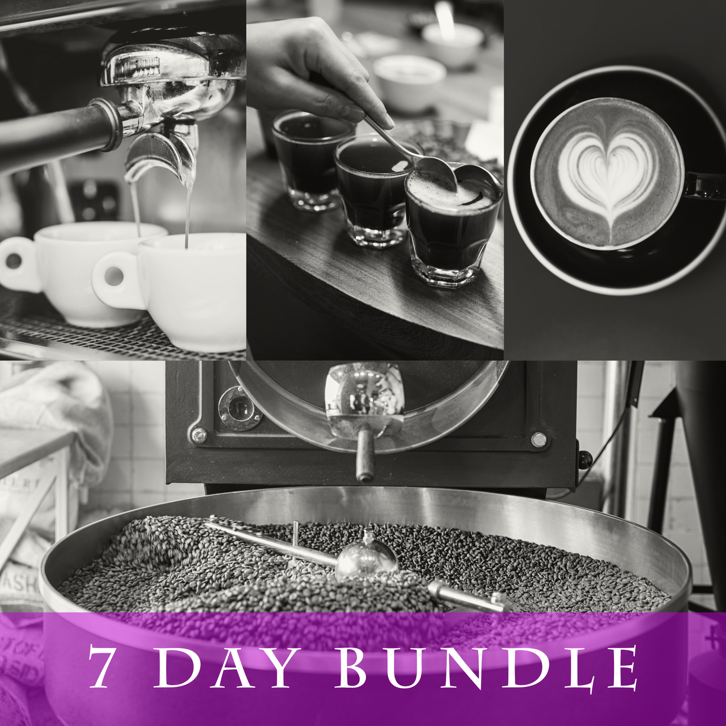 Coffee Roasting, Business and Barista Training Bundle (7days)