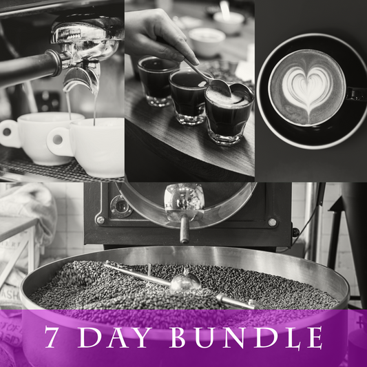 Coffee Roasting, Business and Barista Training Bundle (7days)