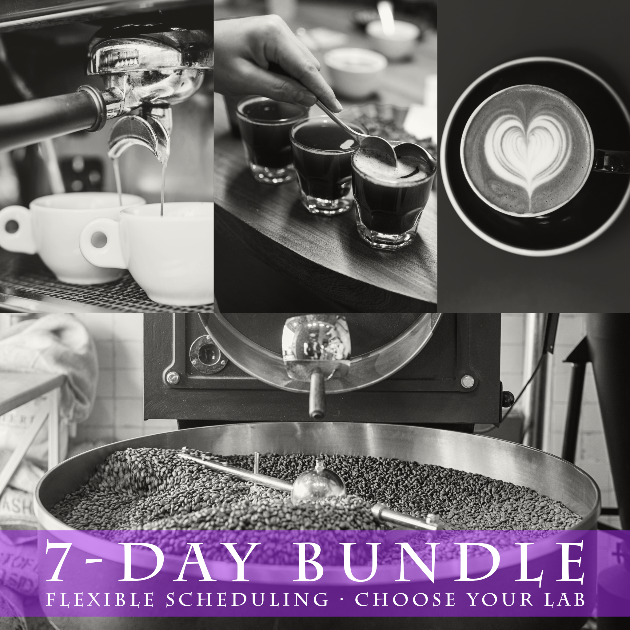 Coffee Roasting, Business and Barista Training Bundle (7days) - Flexib ...