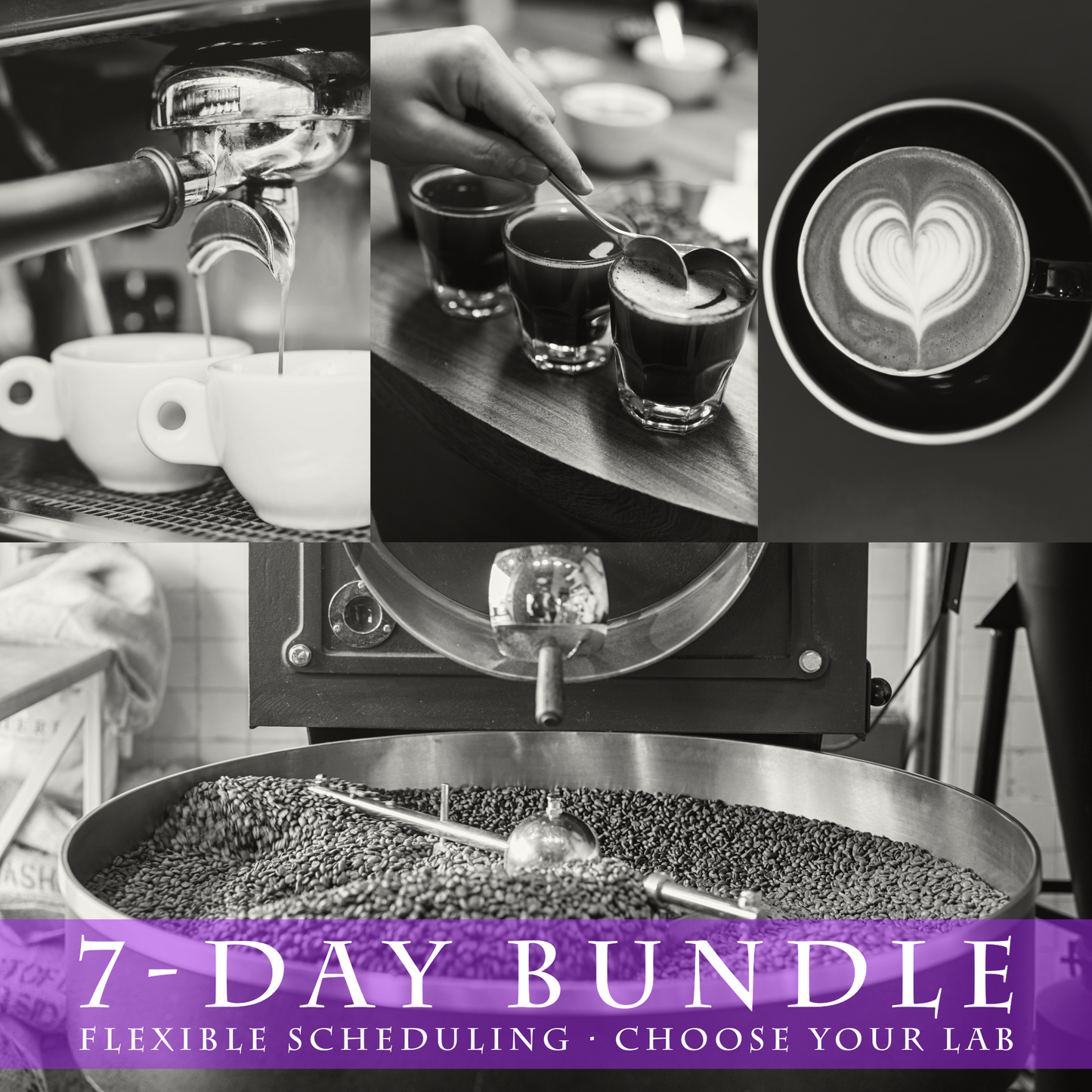 Coffee Roasting, Business and Barista Training Bundle (7days) - Flexible Scheduling