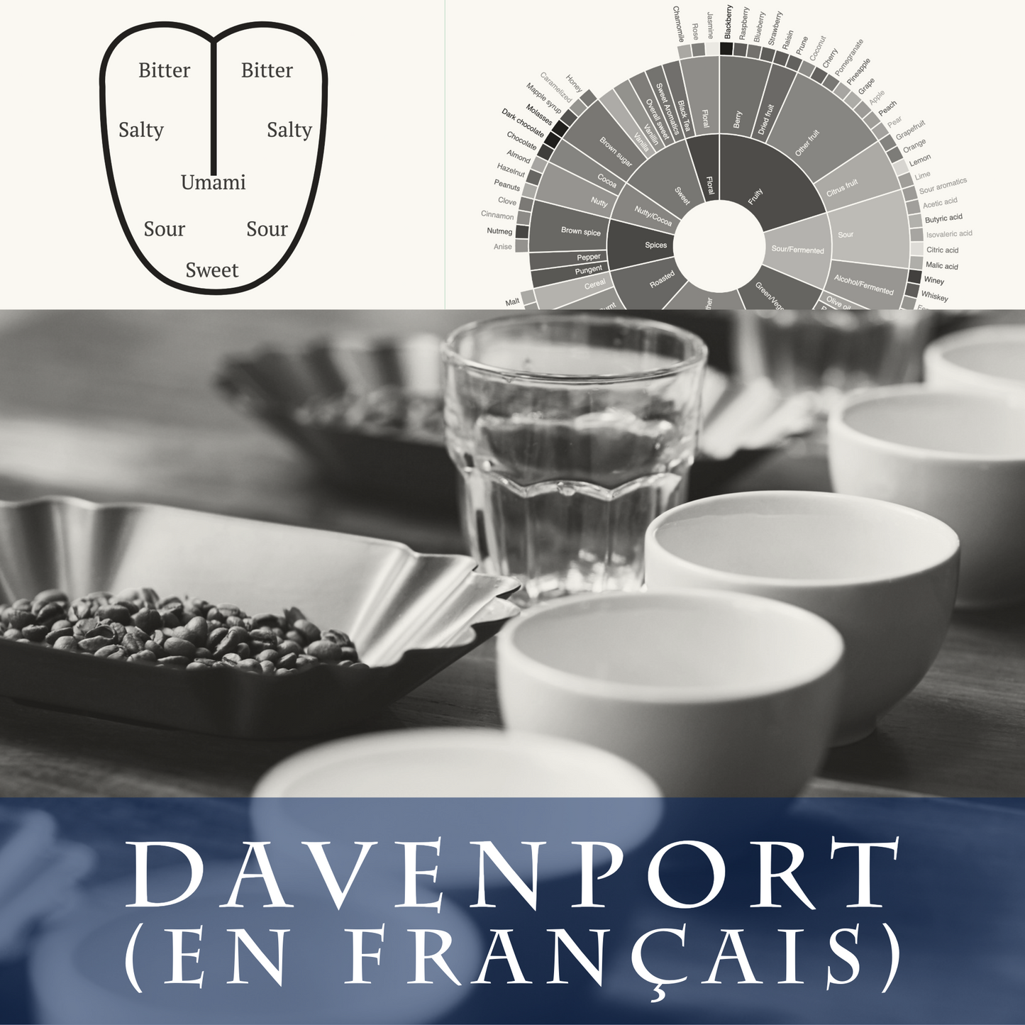 Barista Niveau 3 - Davenport (en français)