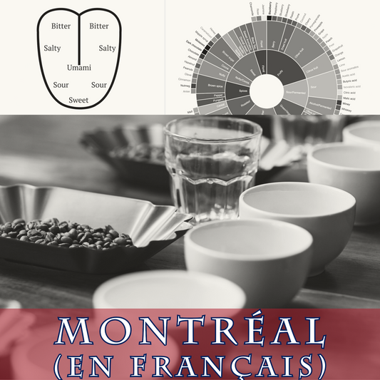 Barista Niveau 3 - Montréal (en français)