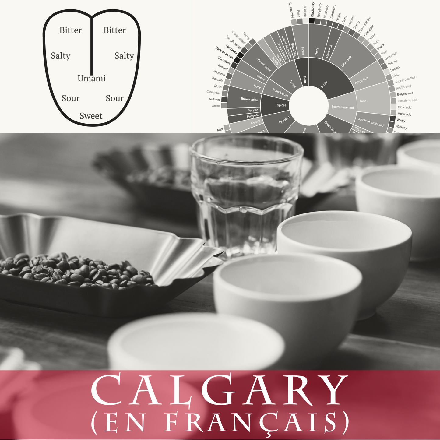 Barista Niveau 3 - Calgary (en français)