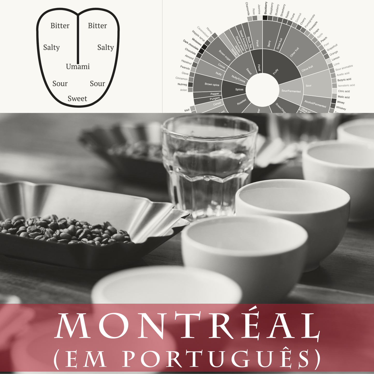 Barista Nível 3 - Montreal (em português)