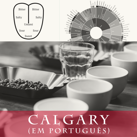 Barista Nível 3 - Calgary (em português)