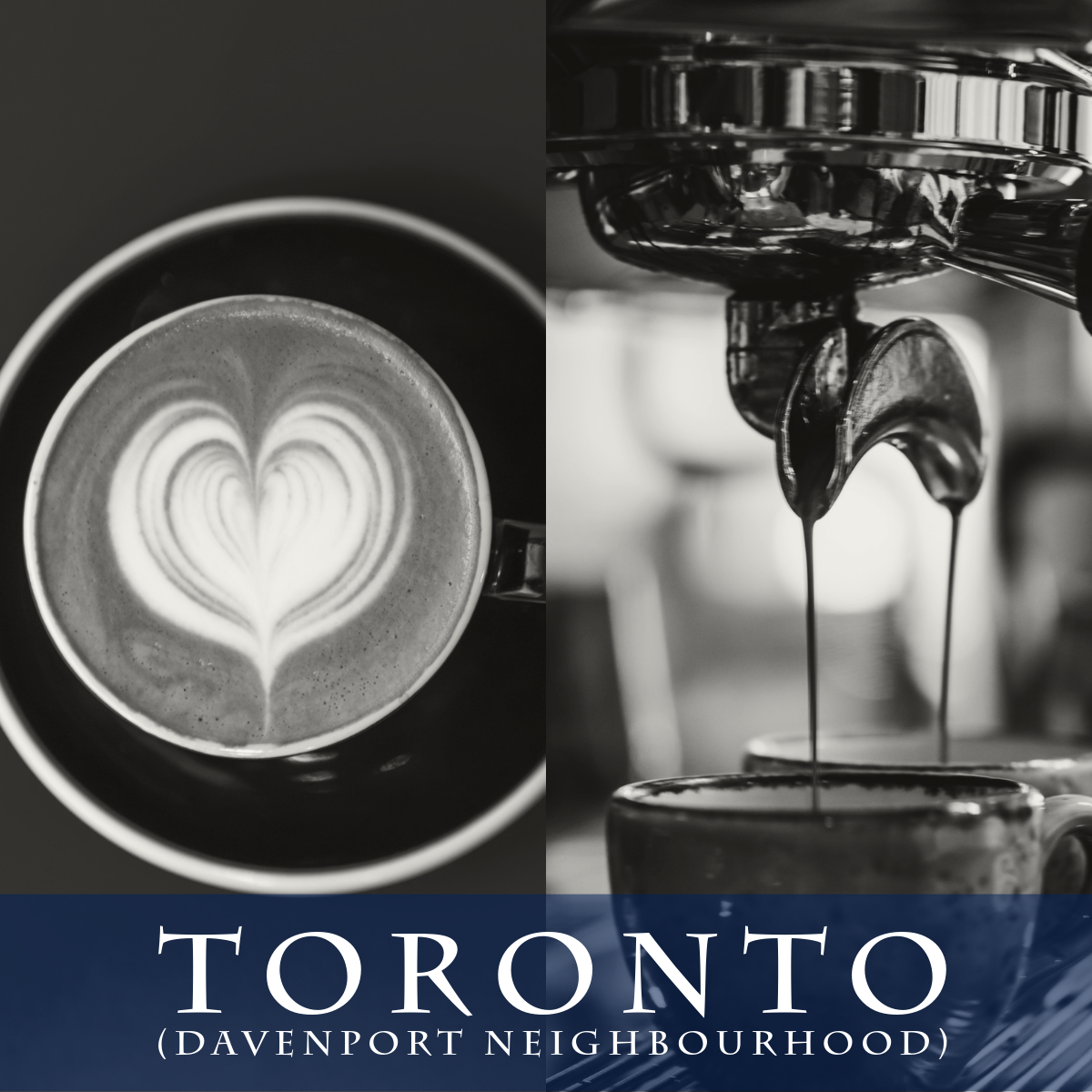 toronto specialty coffee lab