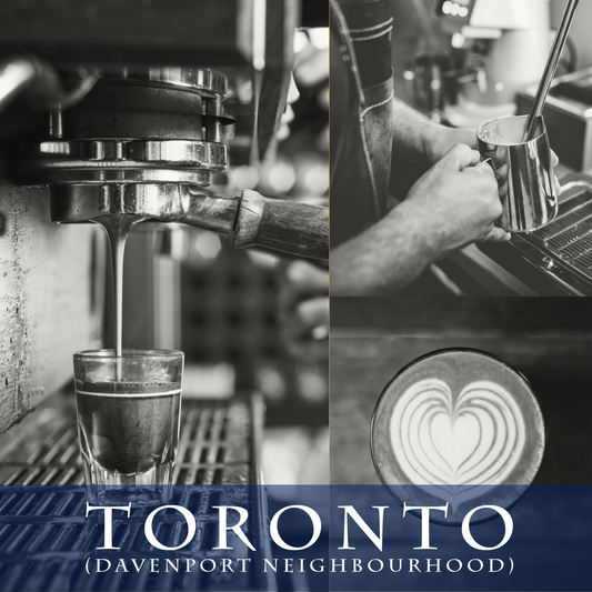toronto specialty coffee lab