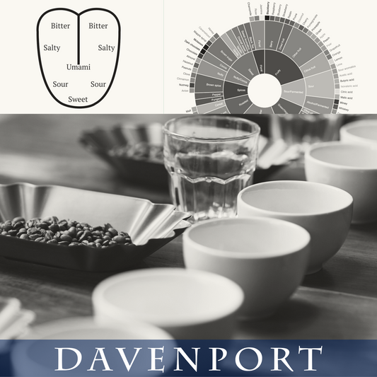 Barista Level 3 - Davenport (Toronto)