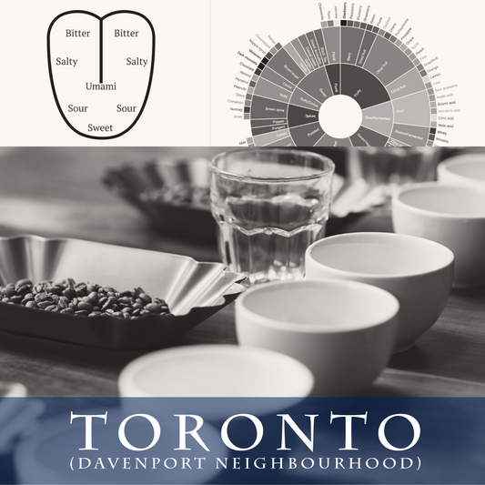 Toronto Specialty Coffee Lab