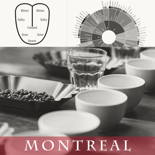 Barista Level 3 - Montreal