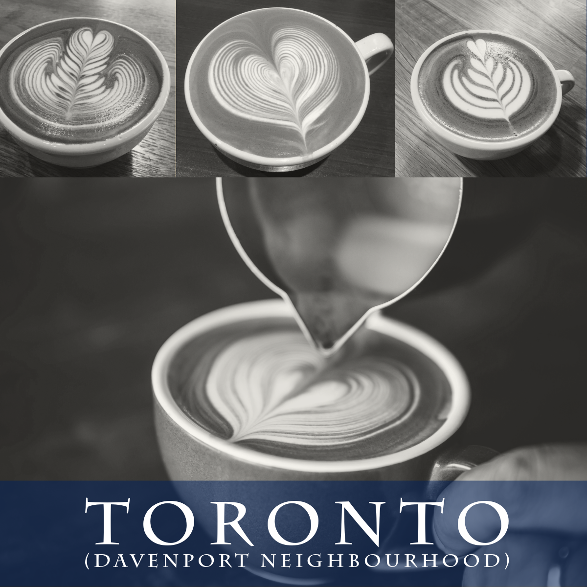 Toronto Specialty Coffee Lab