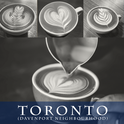 Toronto Specialty Coffee Lab