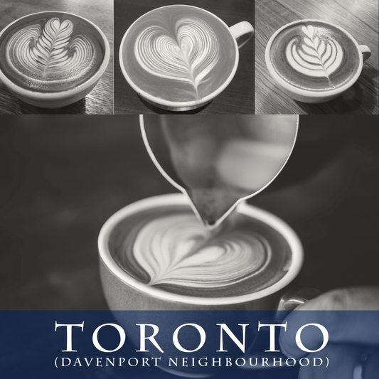 Toronto Specialty Coffee Lab
